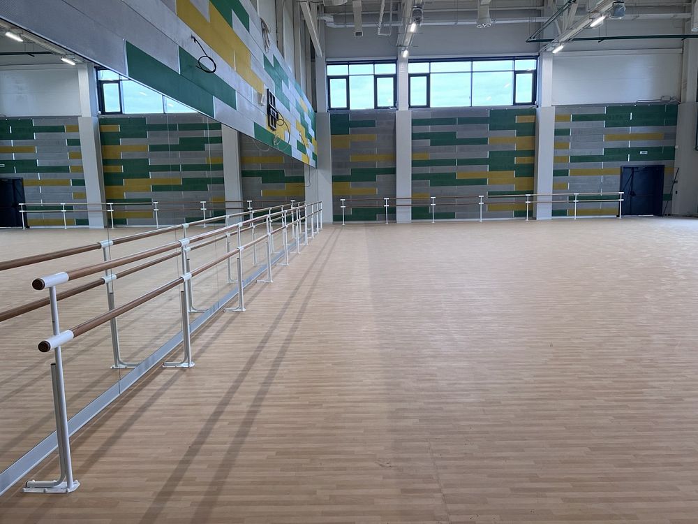 Специализированный учебно-научный центр УрФУ (зал хореографии)